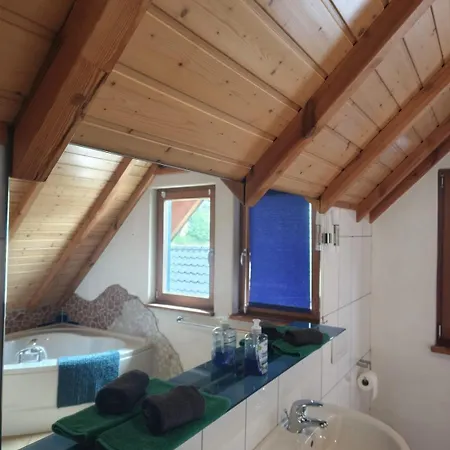 Rursee Mit Wellnessbereich, Balkon, Seeblick Und Garten Fuer 8 Personen, 2 Hunde Appartamento